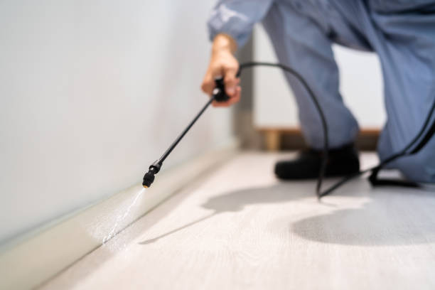 Licensed Pest Control service in Saucier, MS - Nex Pest Control