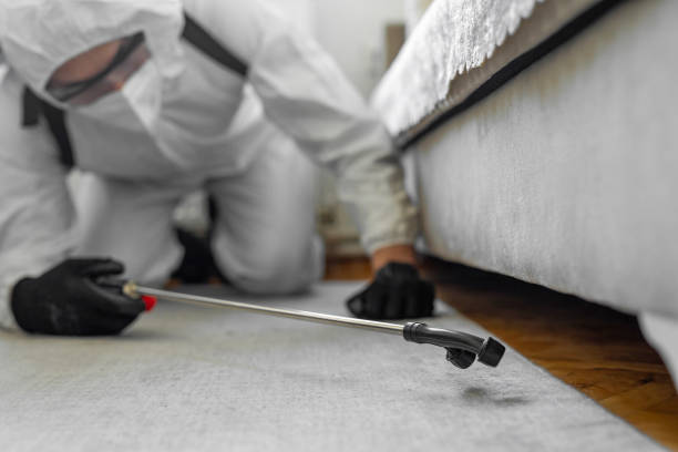 Professional Pest Control technician working in Saucier, MS
