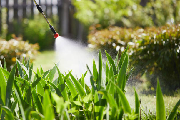 24/7 Emergency Pest Control experts in Saucier, MS