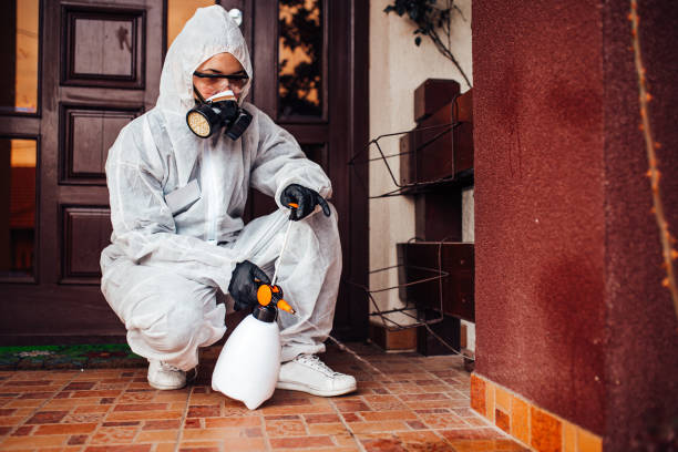 Reliable Pest Control contractor in Saucier, MS by Nex Pest Control