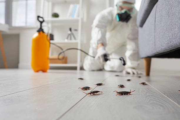 Affordable Pest Control solutions in Saucier, MS