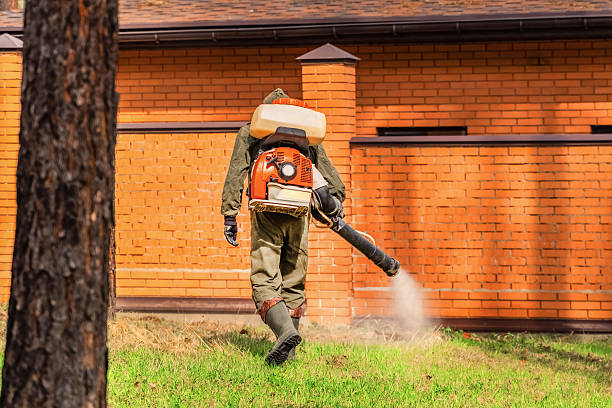 Top rated local Pest Control specialists in Saucier, MS